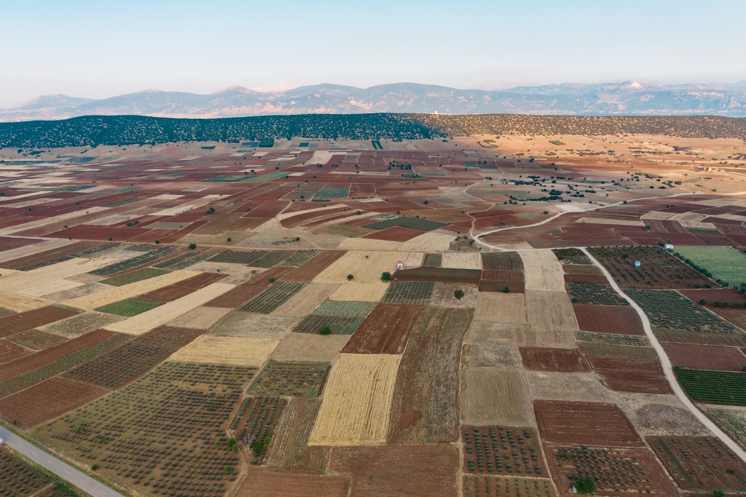 Aerial view of meadows and cultivated fields with pathway. Birds view. Arable land.